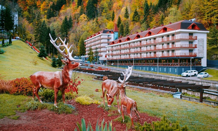 Саирме | Грузия